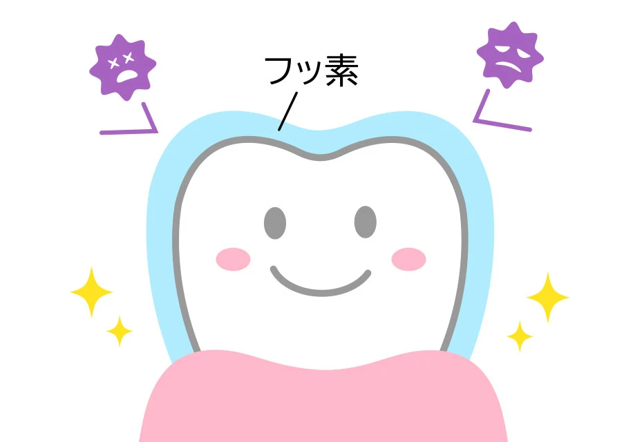 フッ素塗布（無料）